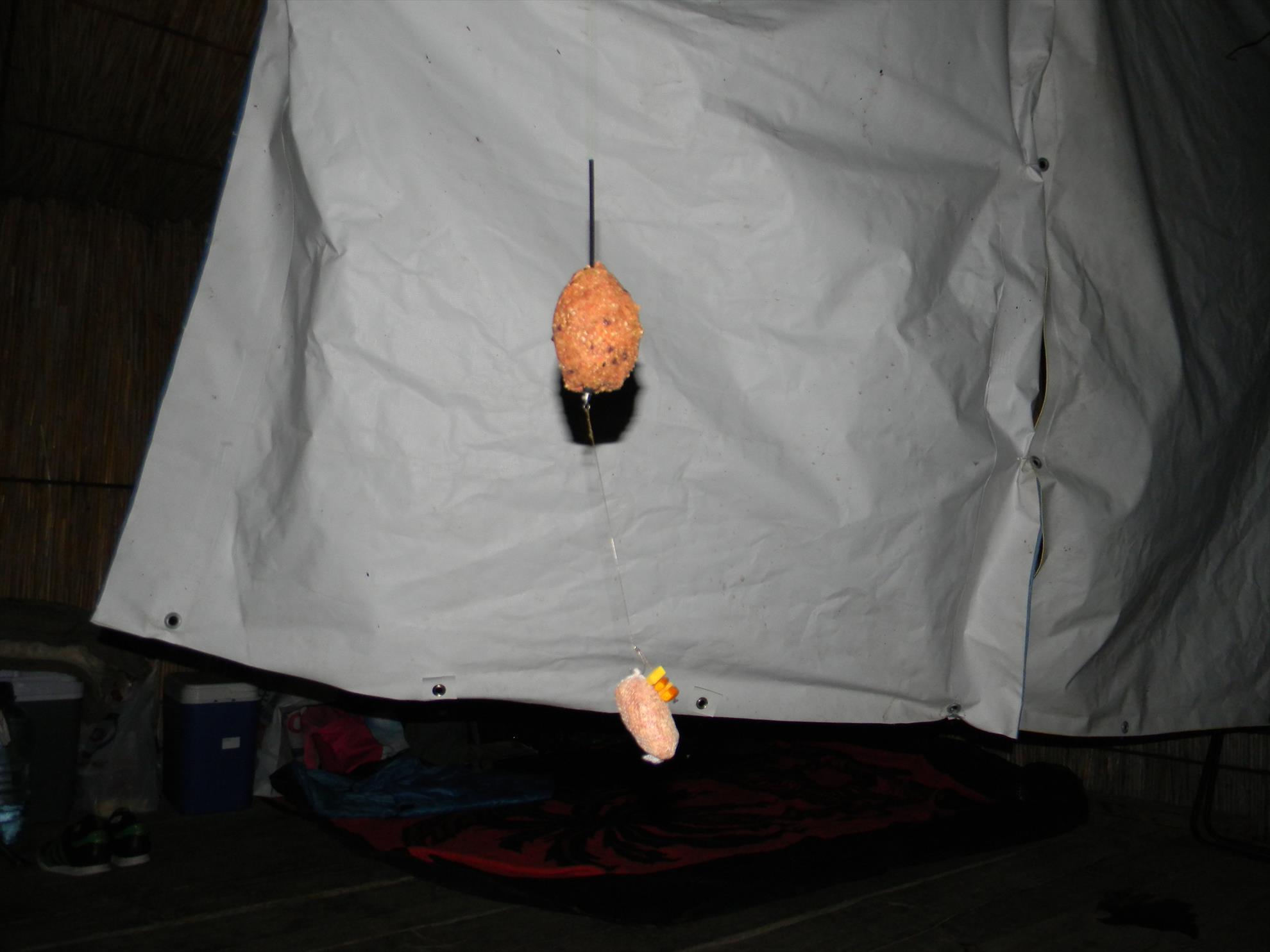 Debut mania 3-6 sep 2012 - dscn7372.JPG